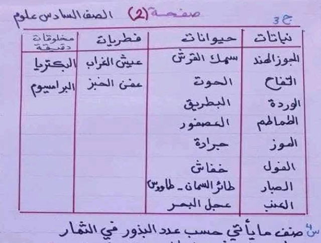 اسئلة مراجعة العلوم الصف السادس الابتدائي ليبيا pdf