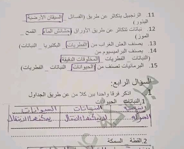 امتحان علوم الصف السادس مناهج ليبيا pdf