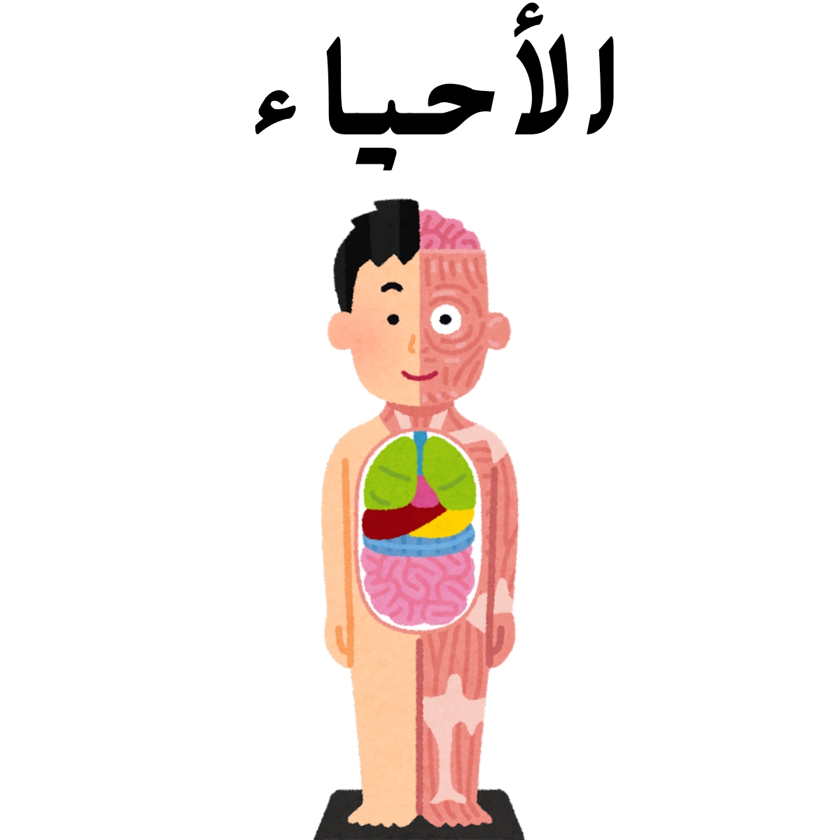 مادة الاحياء