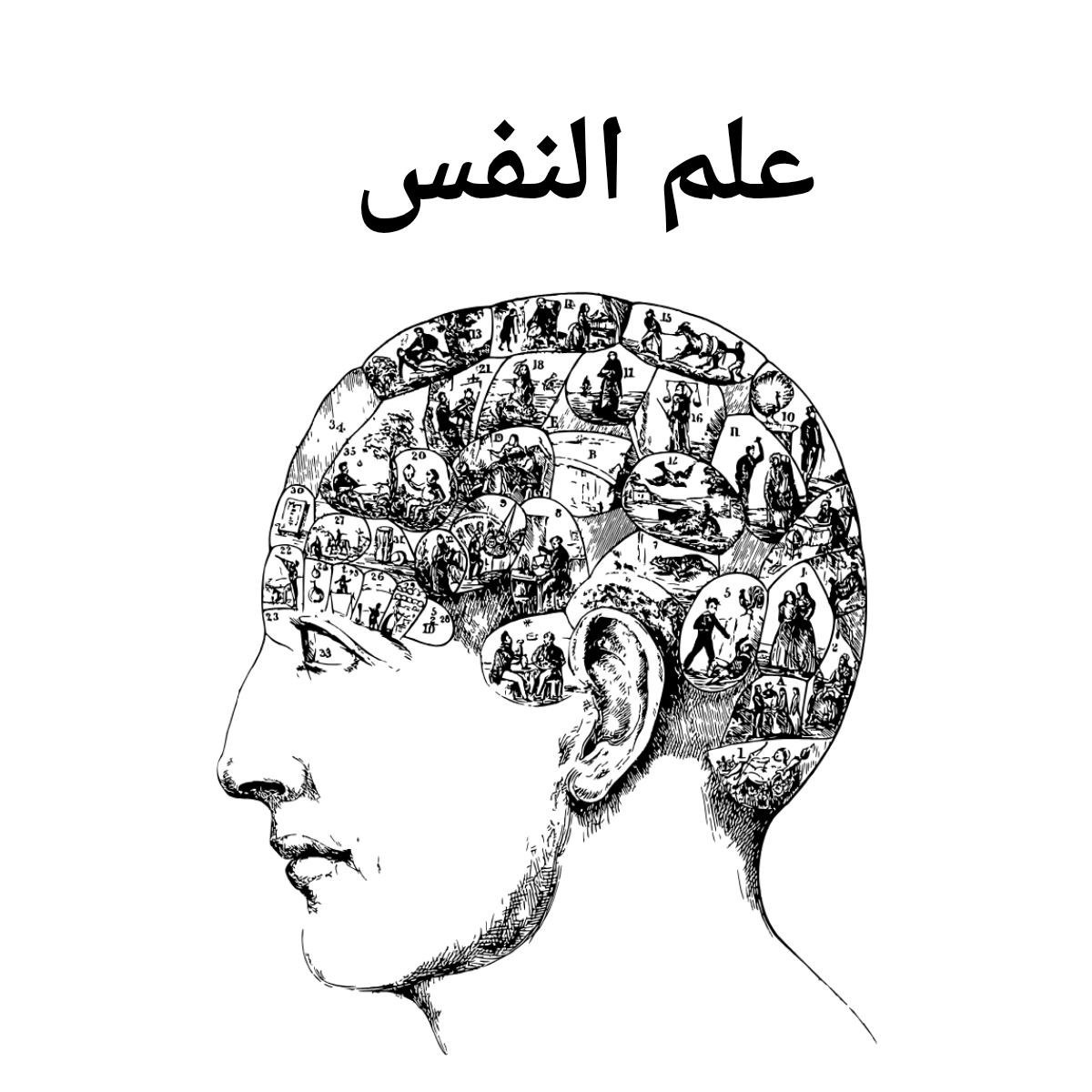 مادة علم النفس