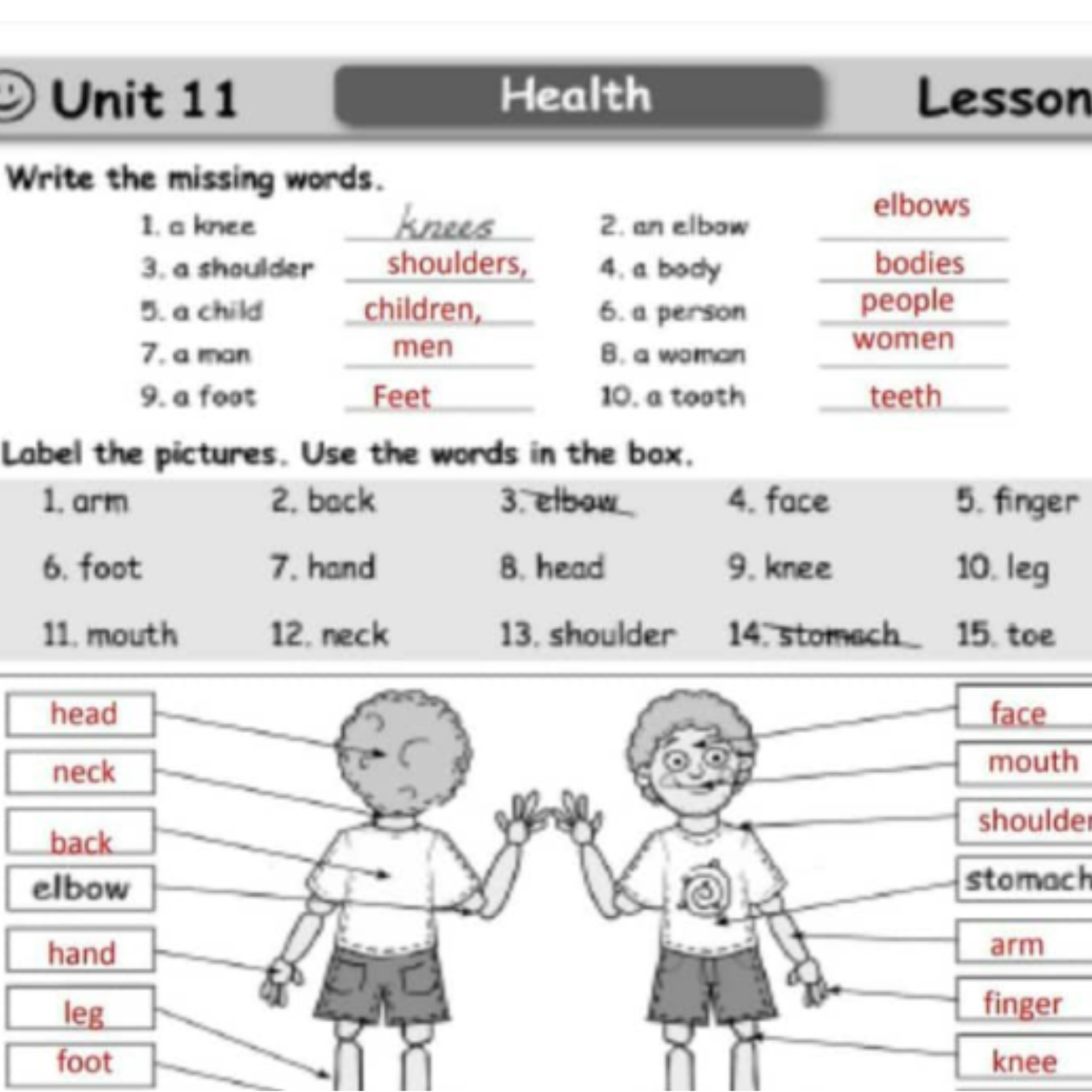 حل كتاب النشاط انجليزي الصف السادس السودان الجديد pdf