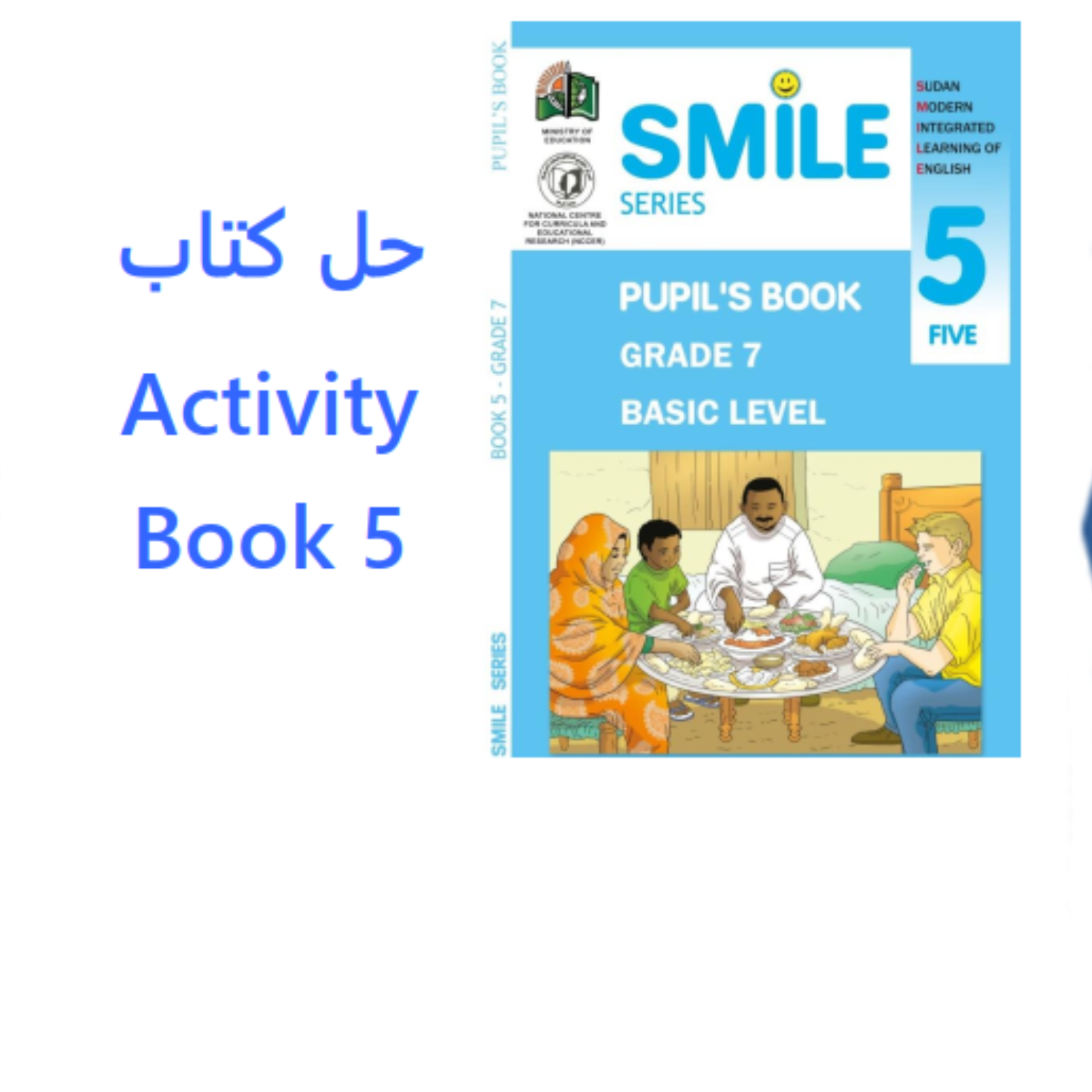 حل كتاب النشاط انجليزي ثالث متوسط السودان pdf